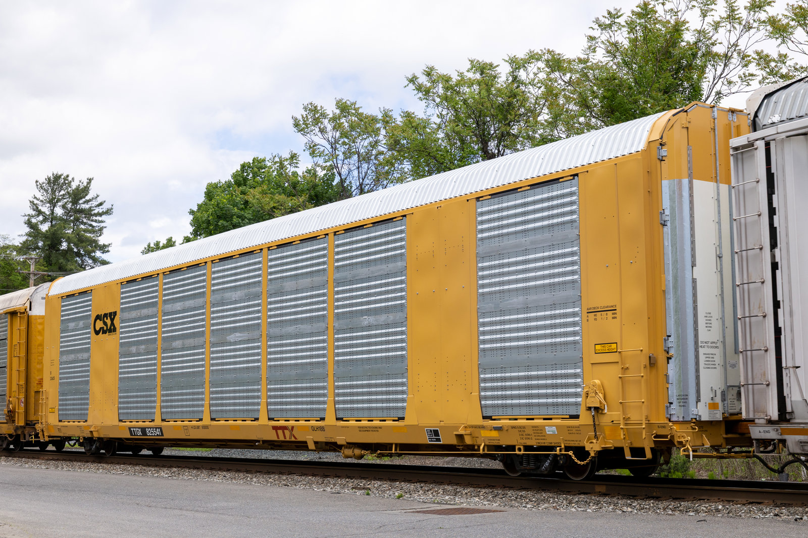 TTGX 825541
