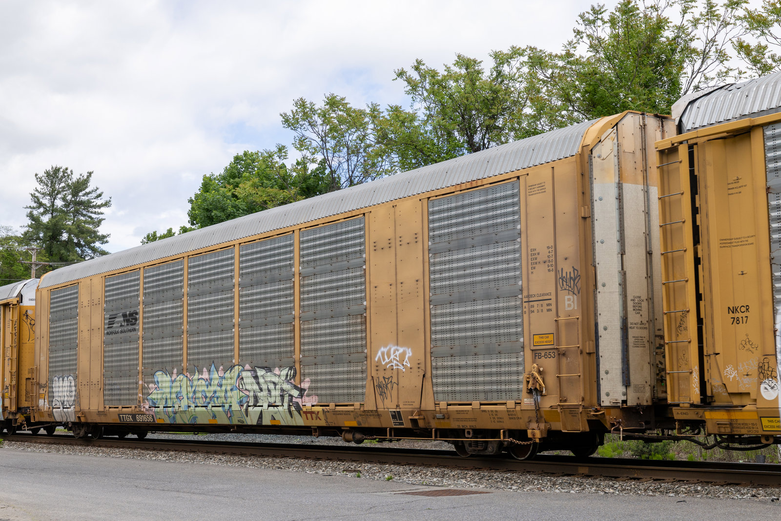 TTGX 691656