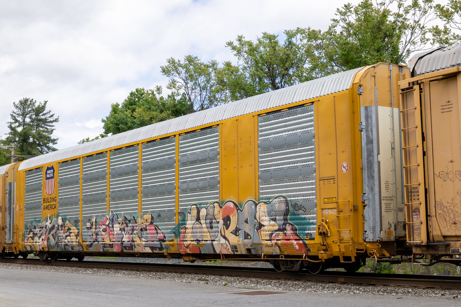 TTGX 698925