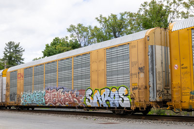 TTGX 696909