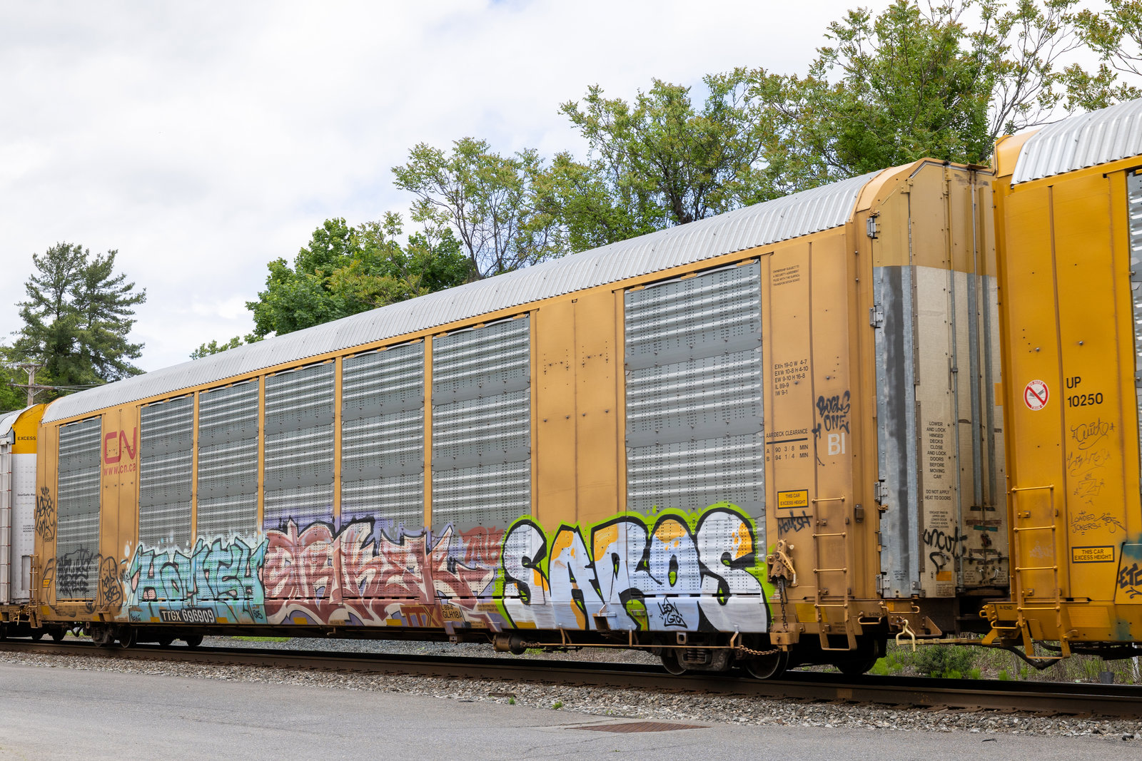 TTGX 696909