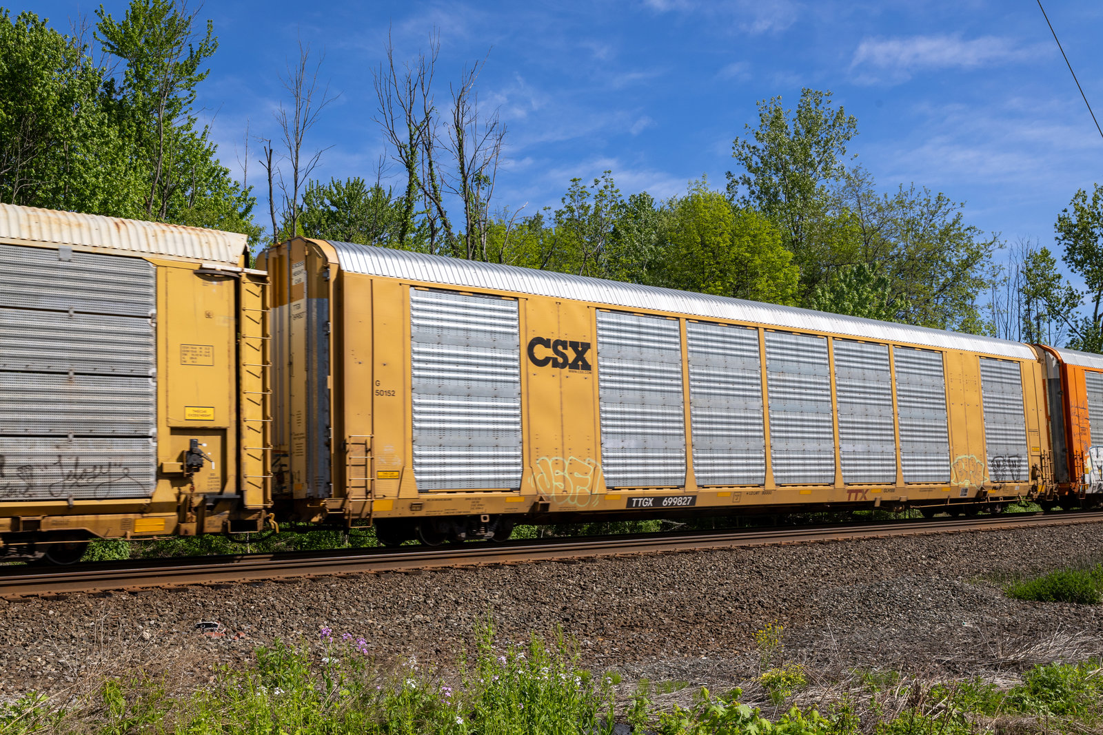 TTGX 699827