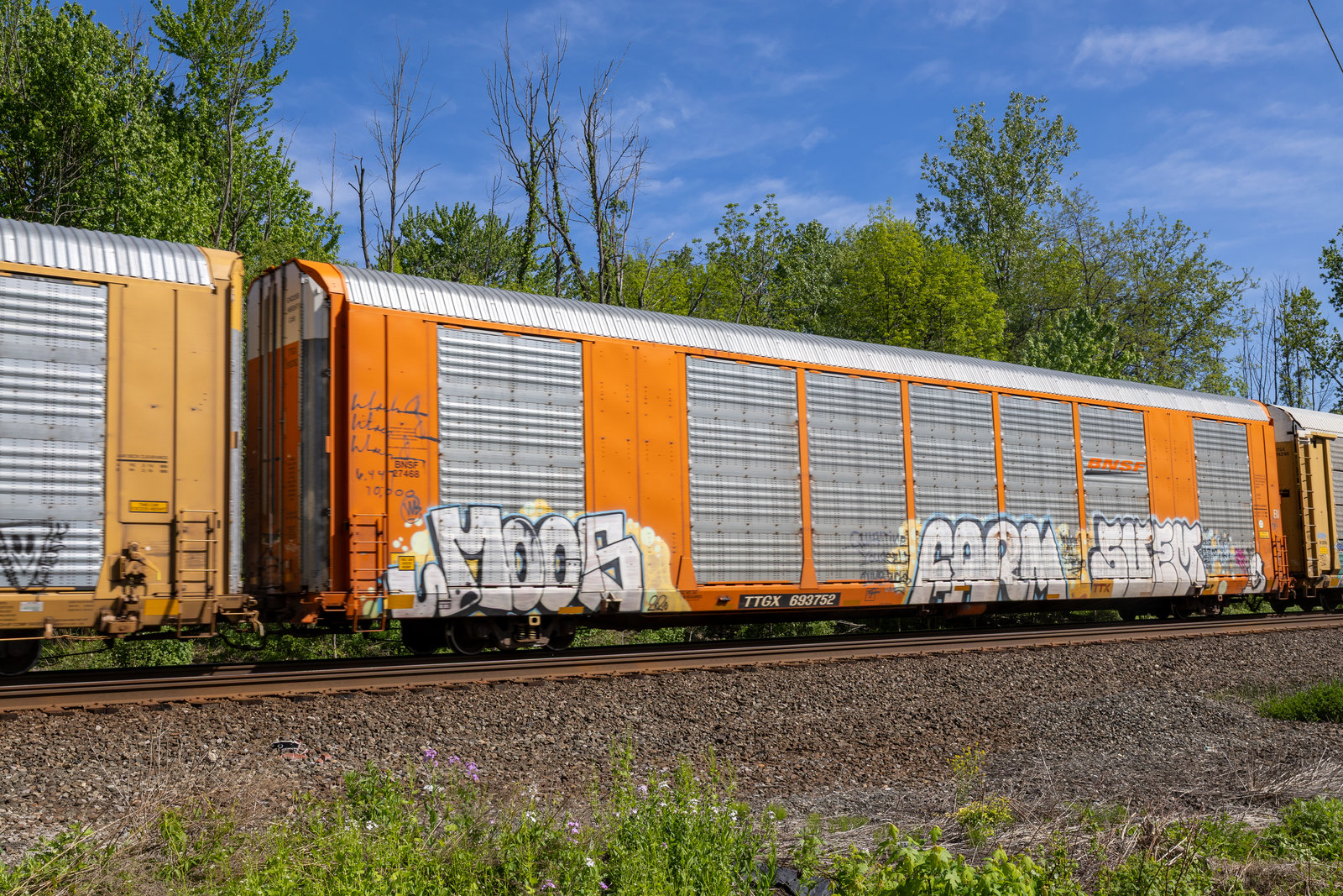 TTGX 693752