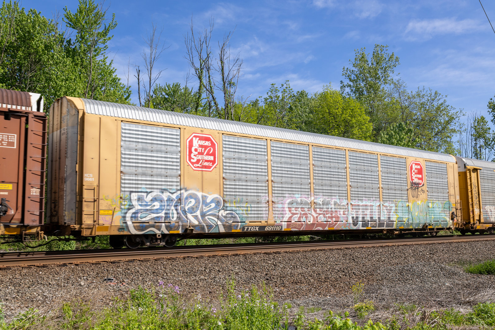 TTGX 691110