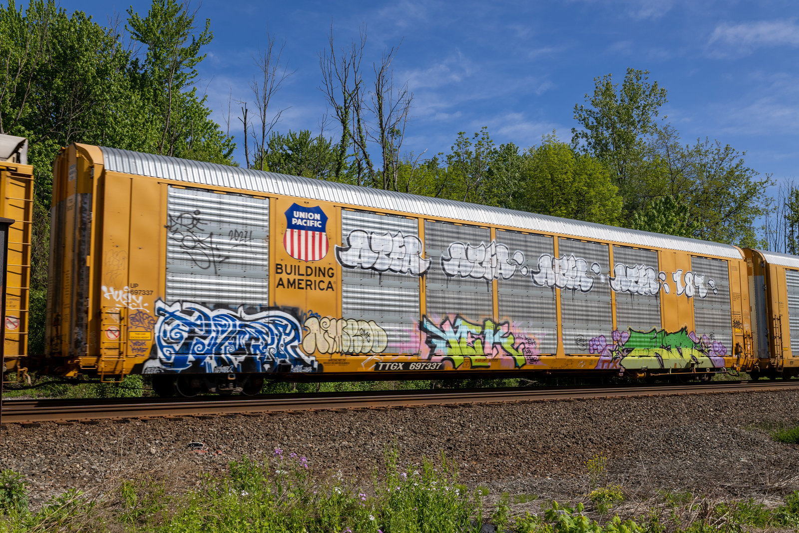 TTGX 697337