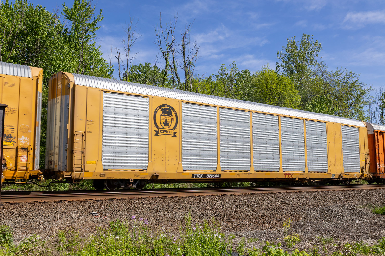 TTGX 822644
