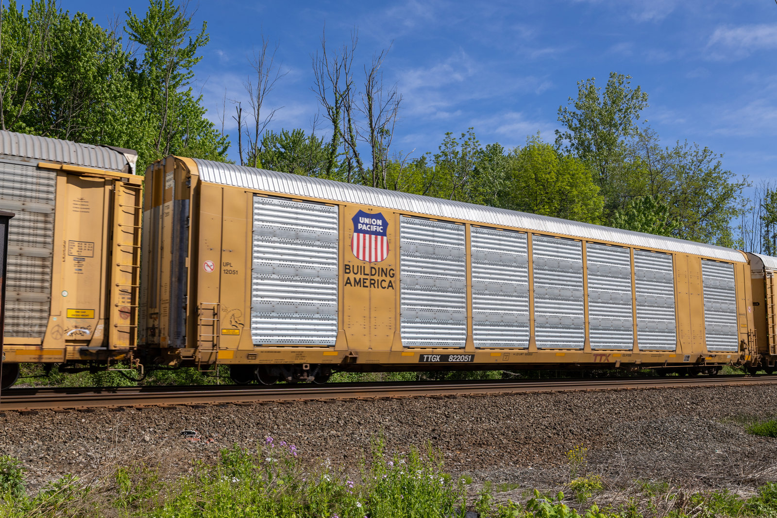 TTGX 822051