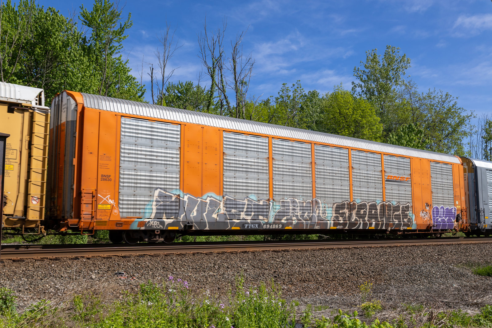 TTGX 694869