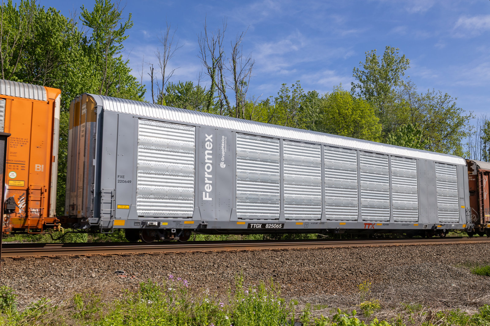 TTGX 825065
