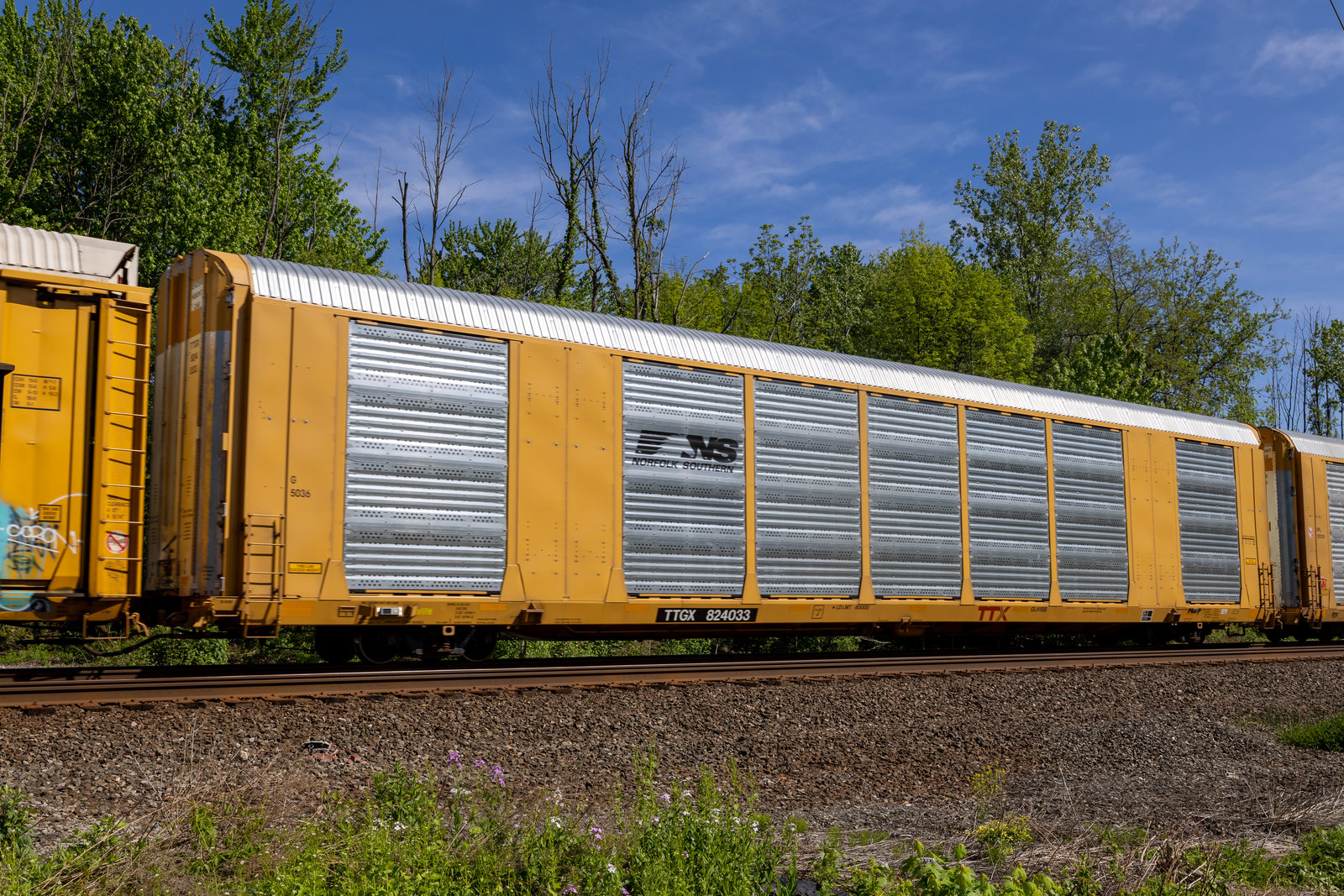 TTGX 824033