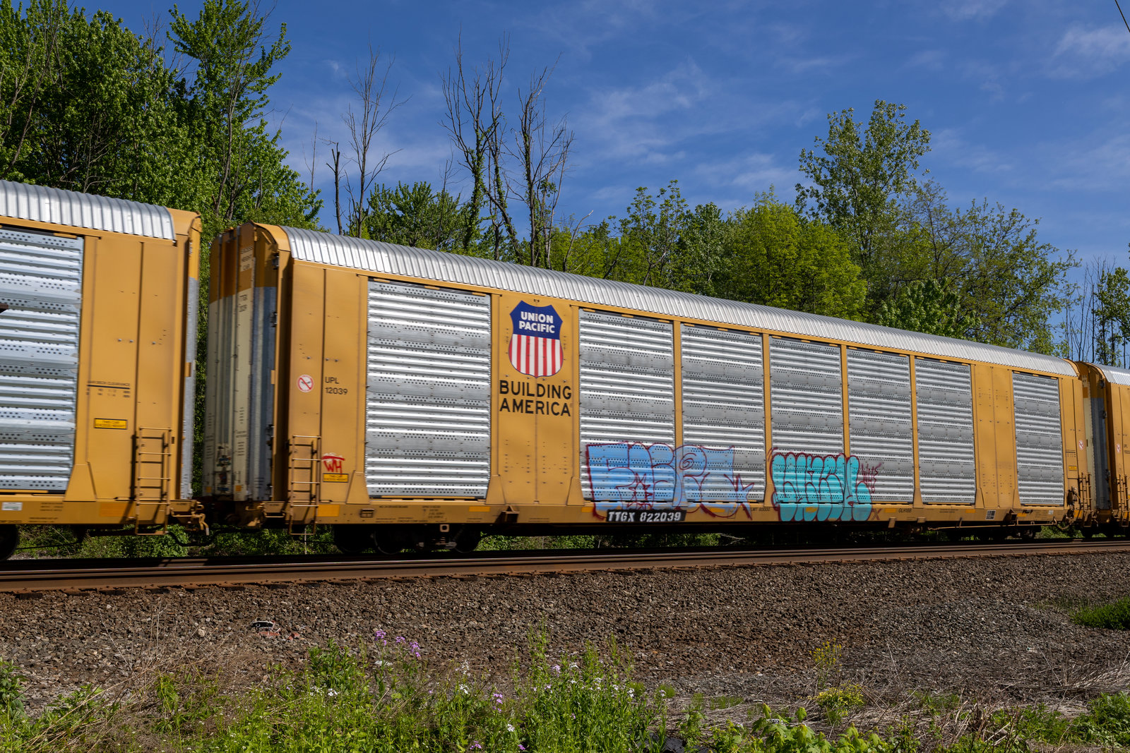 TTGX 822039