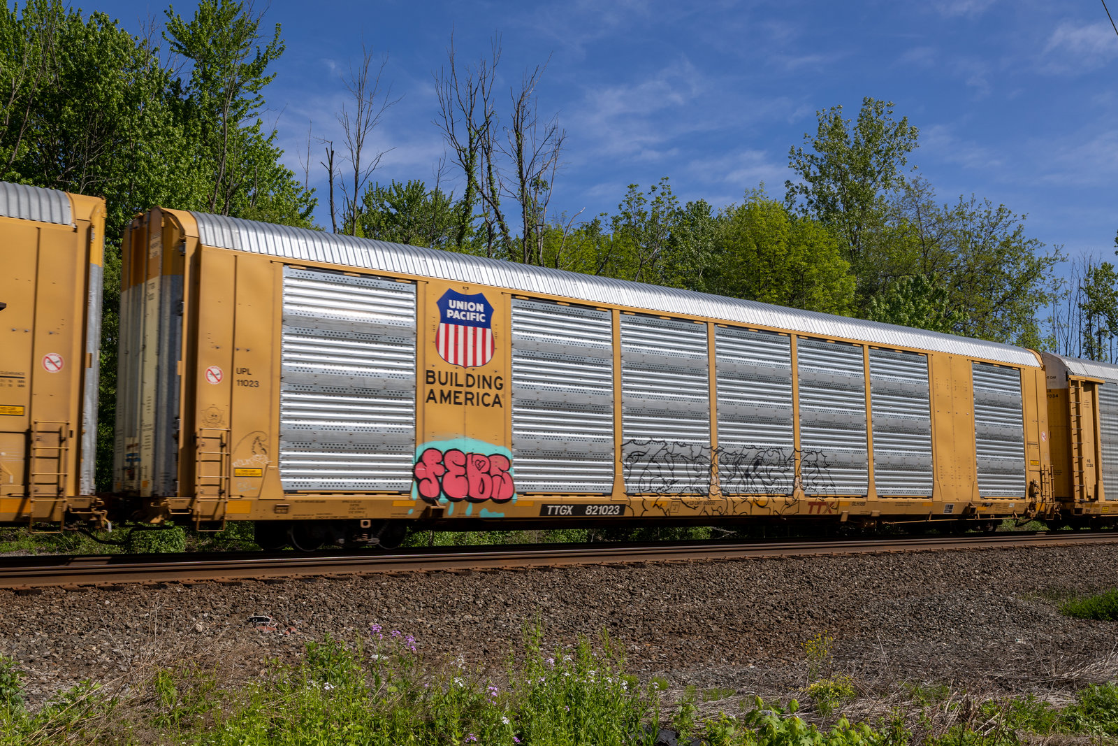 TTGX 821023