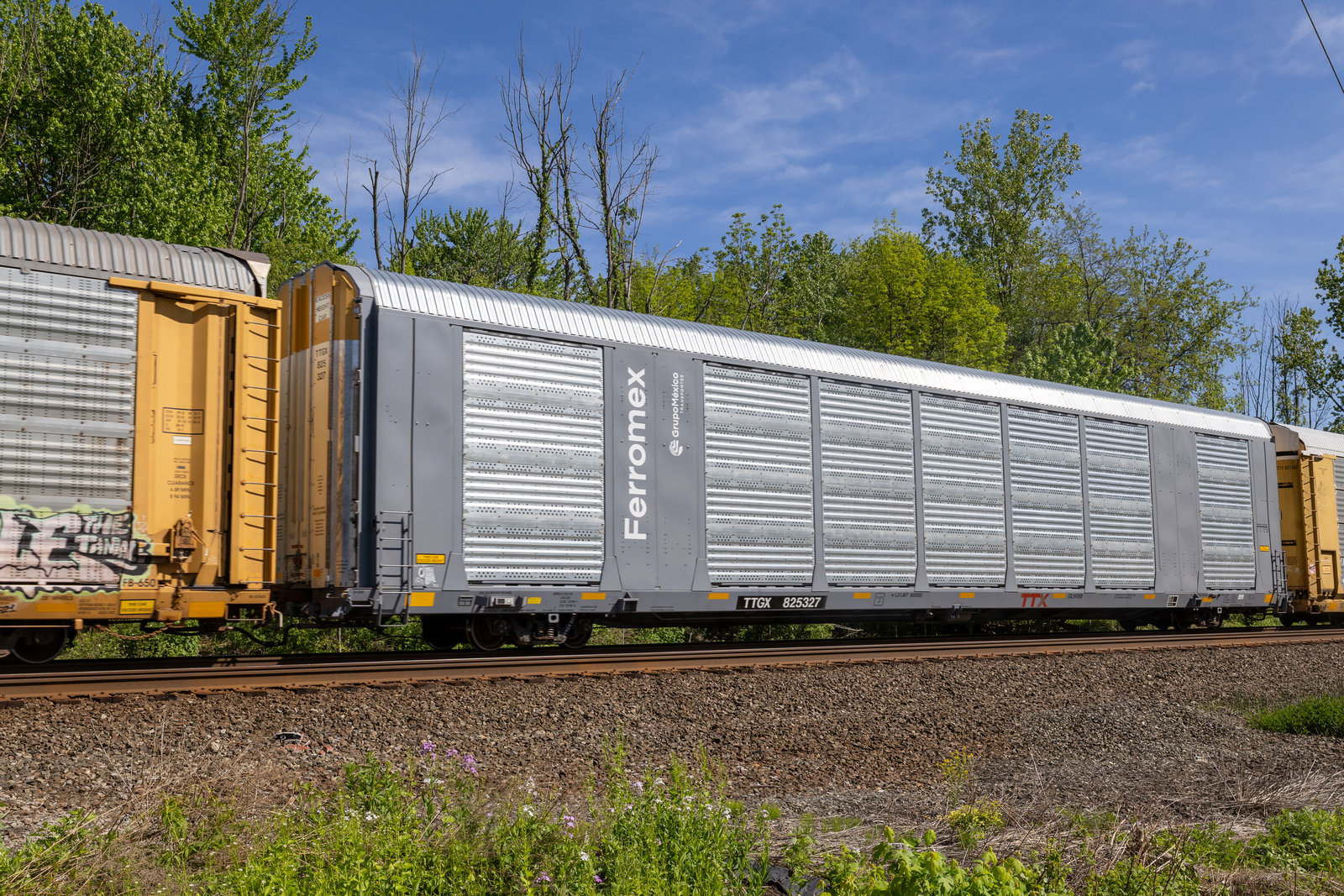 TTGX 825327