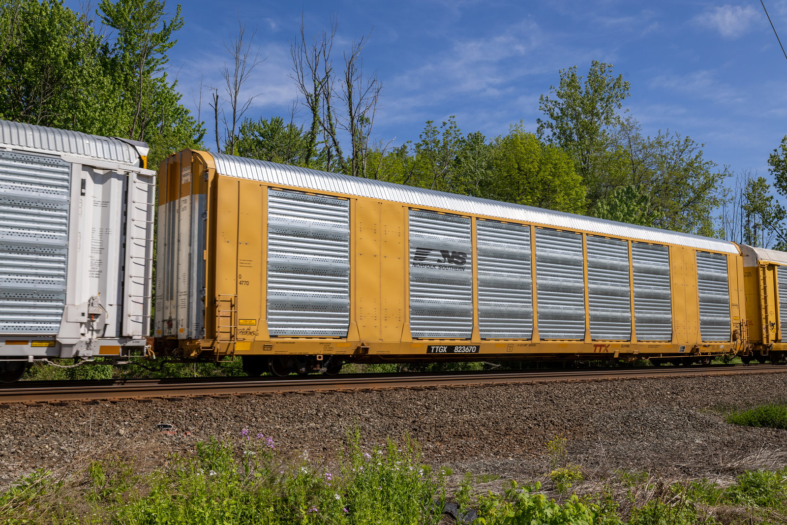TTGX 823670