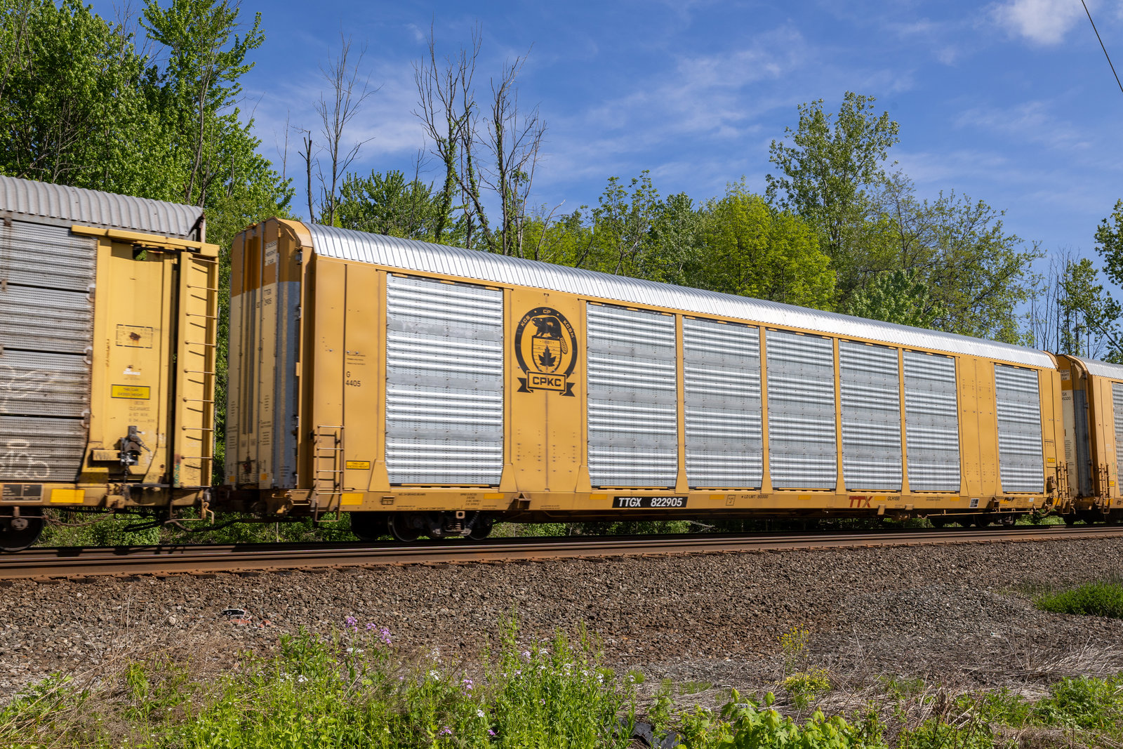 TTGX 822905