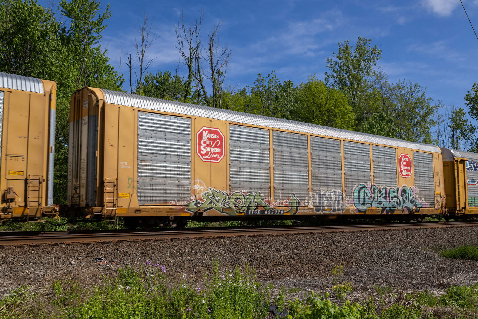 TTGX 695320