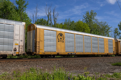 TTGX 822550