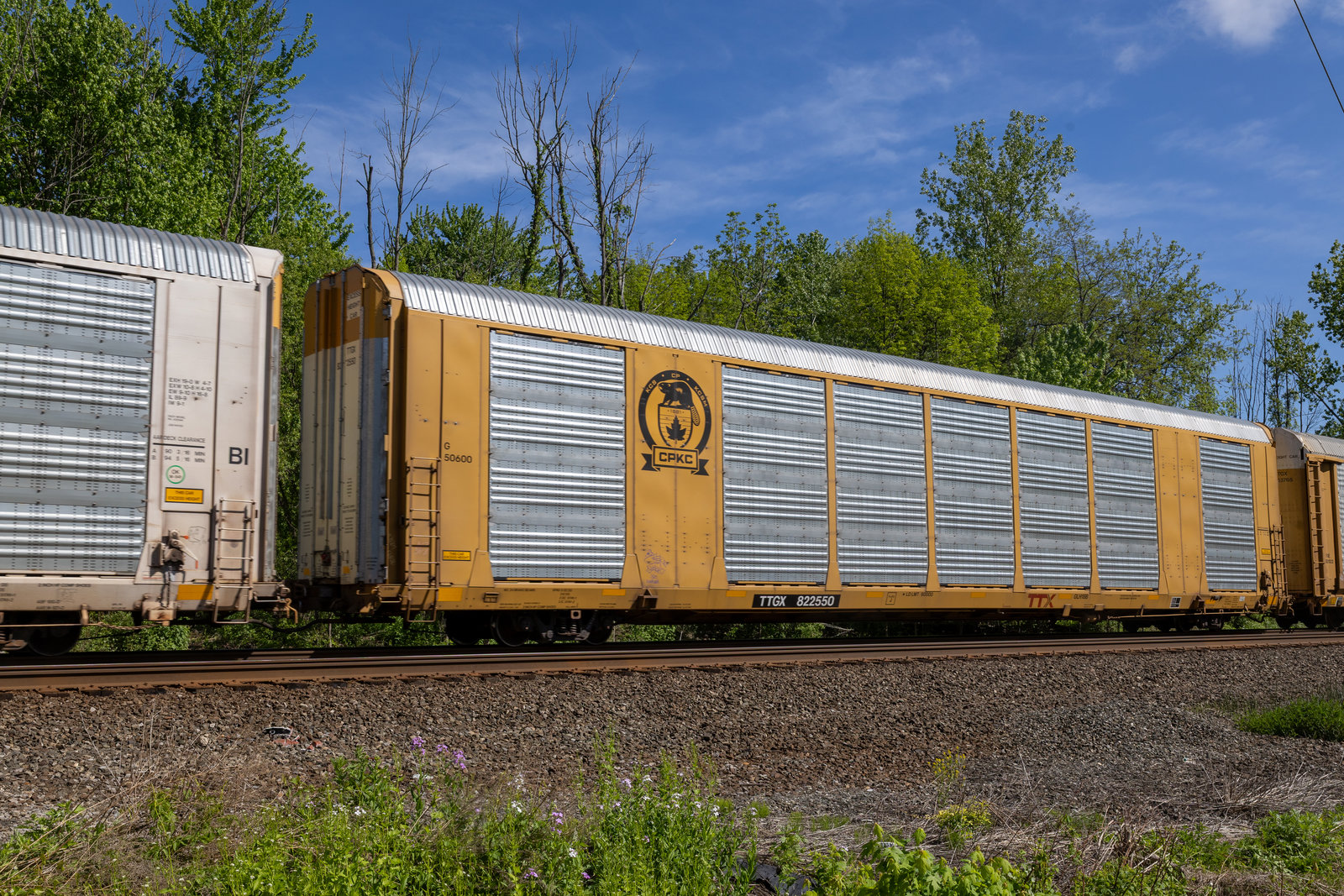 TTGX 822550