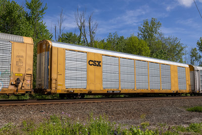 TTGX 823769