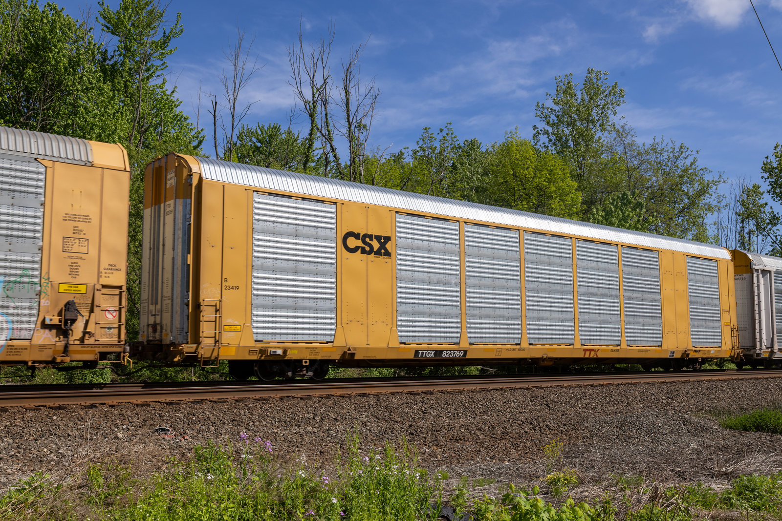 TTGX 823769
