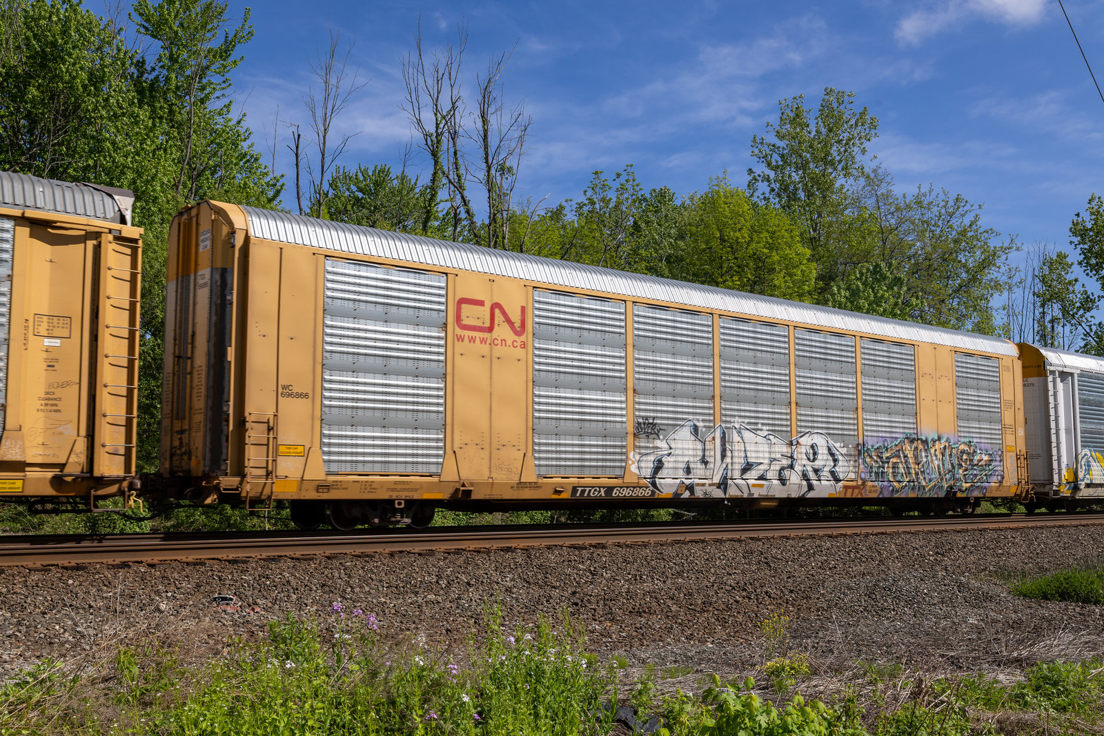 TTGX 696866
