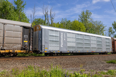 TTGX 825012