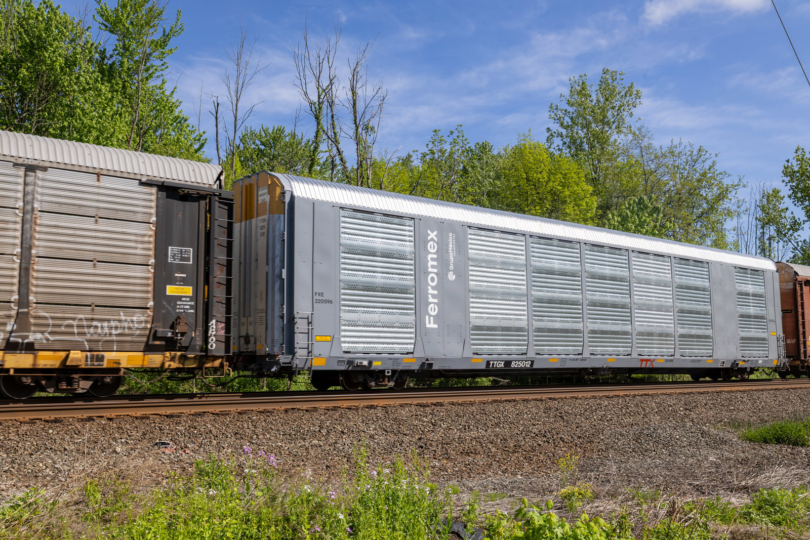 TTGX 825012