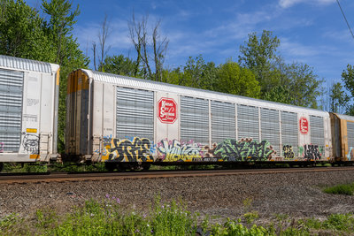 TTGX 697200