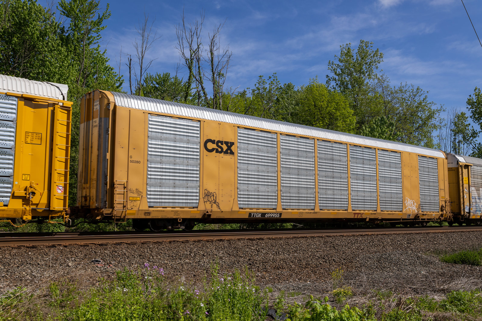 TTGX 699955