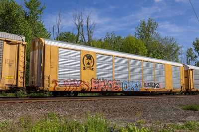TTGX 822770