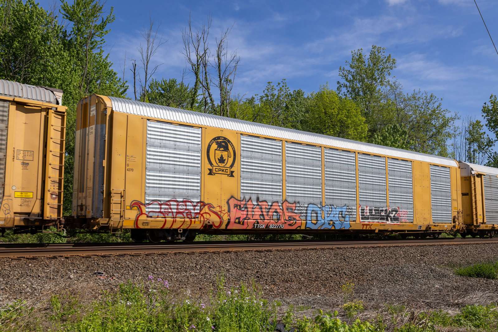 TTGX 822770