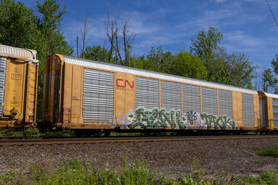 TTGX 695891