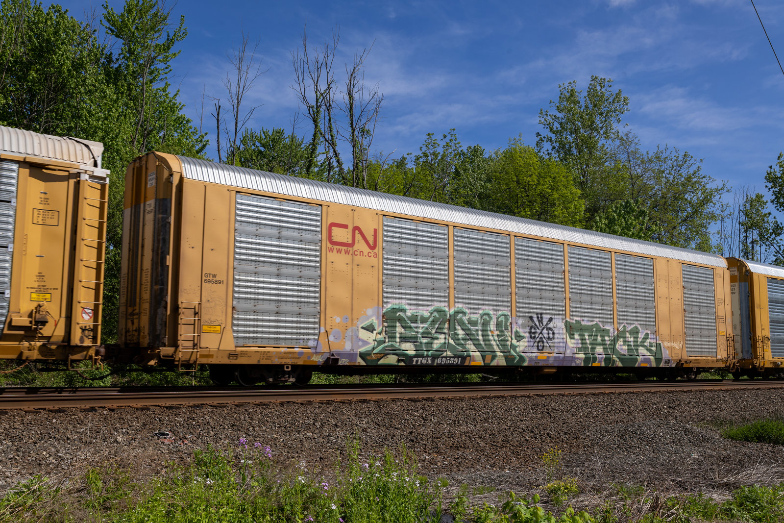 TTGX 695891