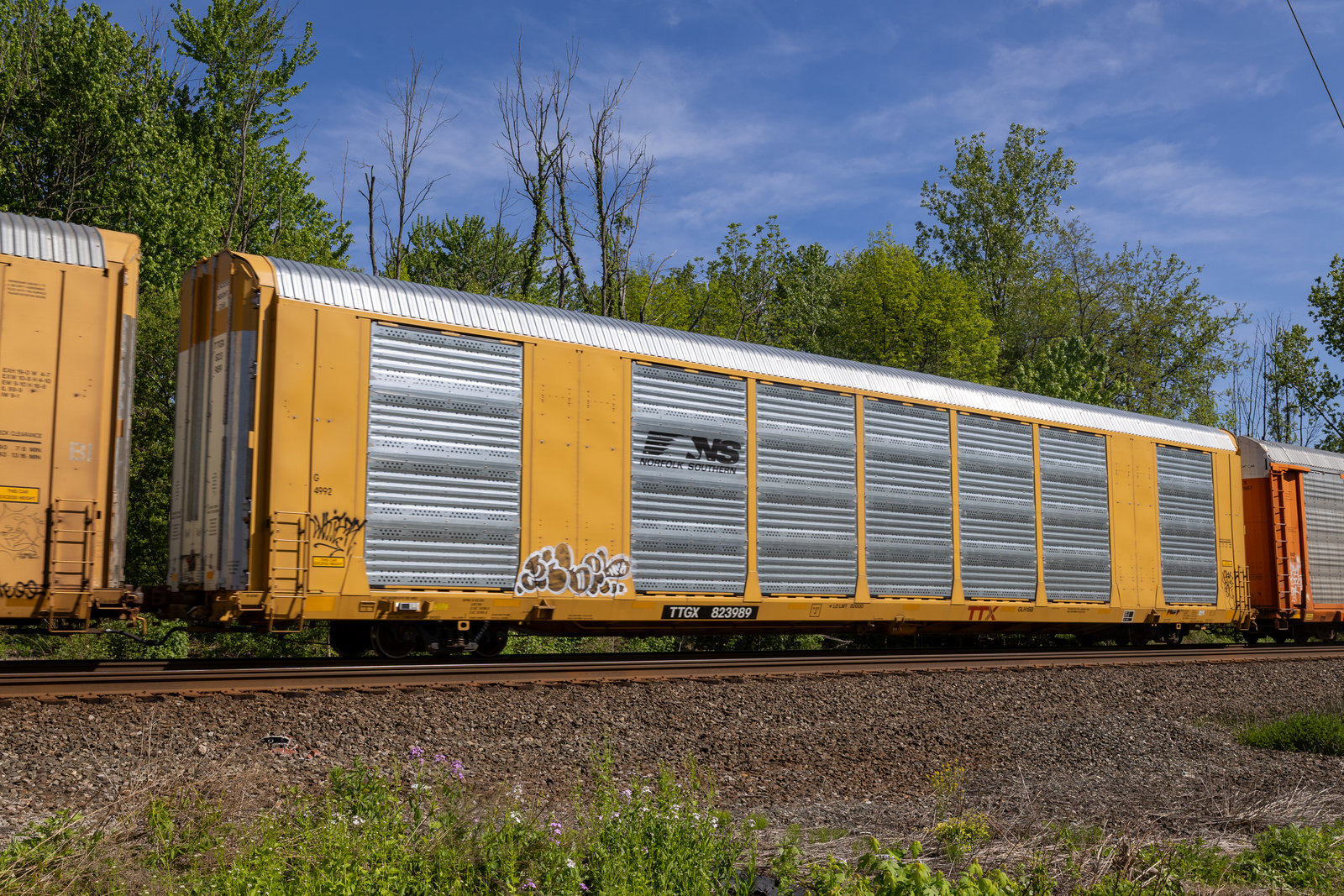 TTGX 823989