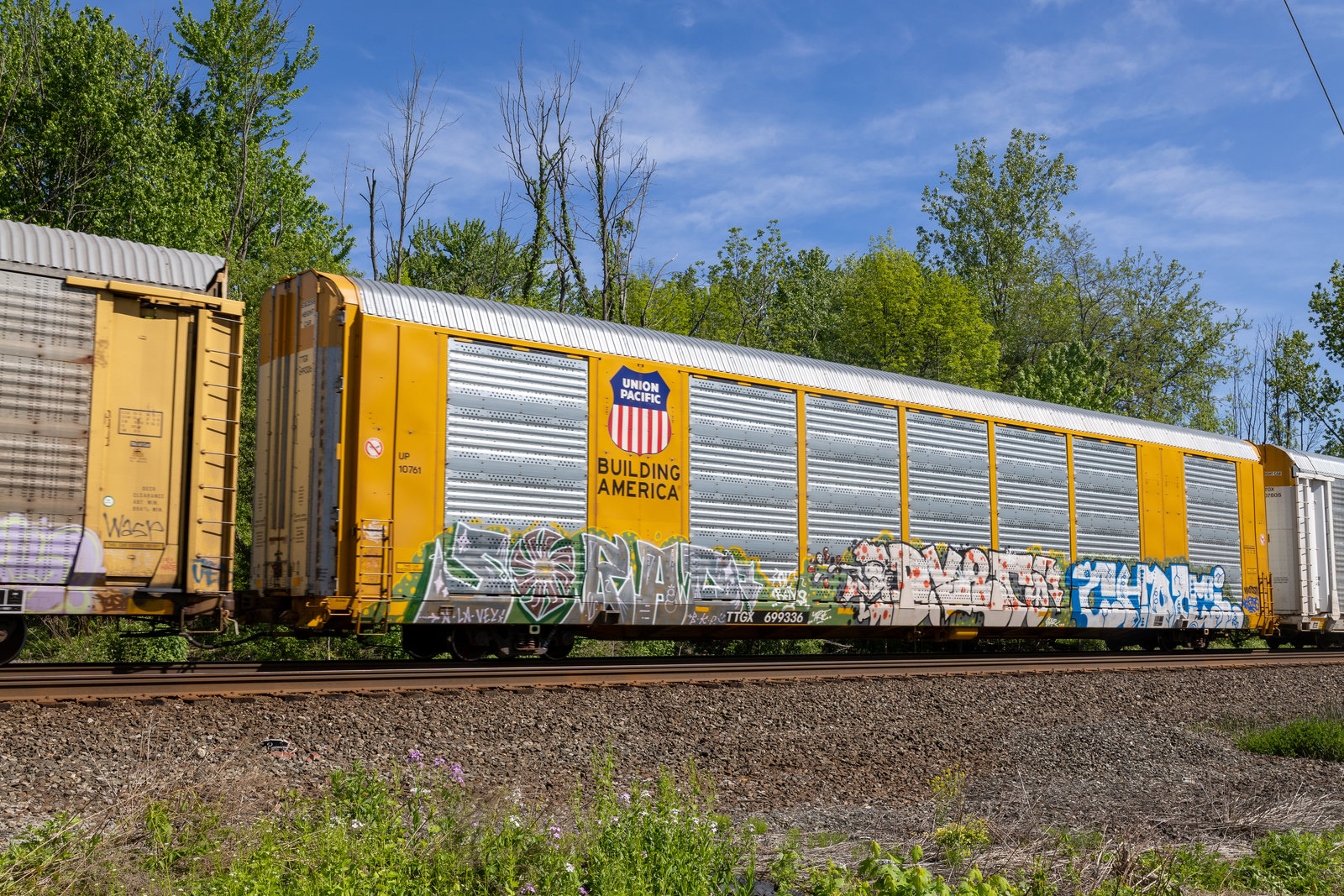TTGX 699336