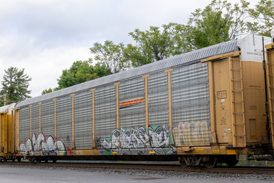 TTGX 254341