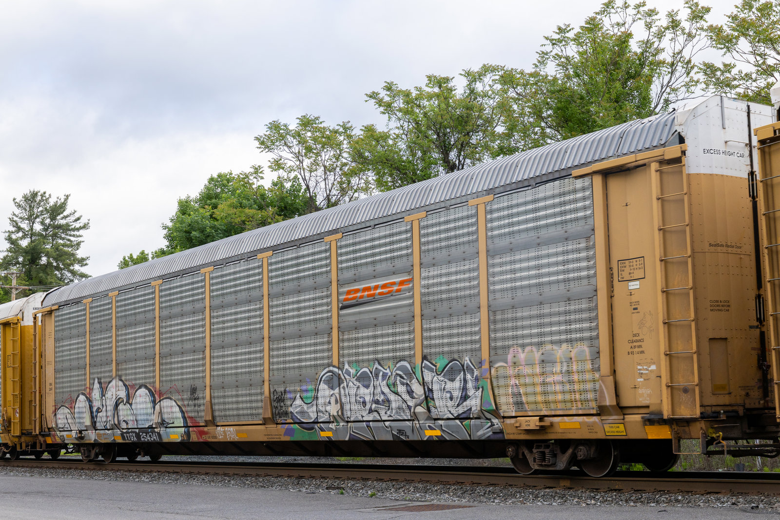 TTGX 254341