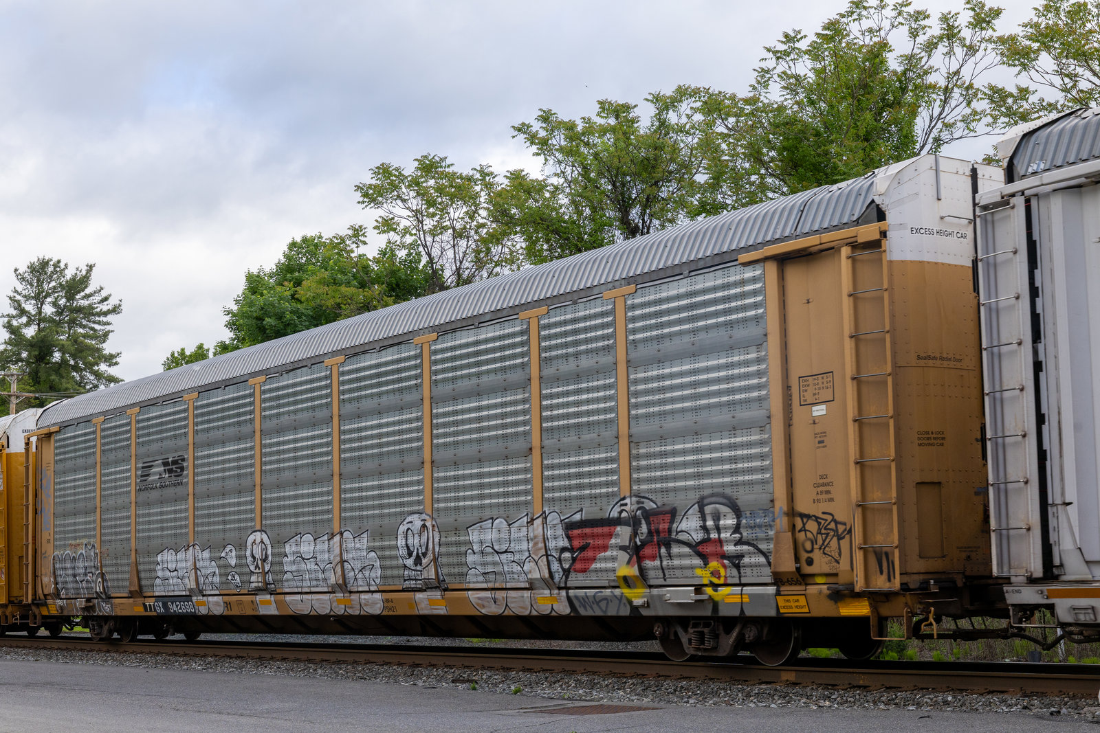 TTGX 942698