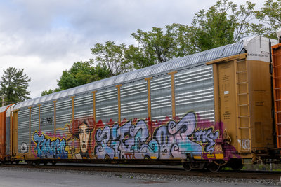 TTGX 988691