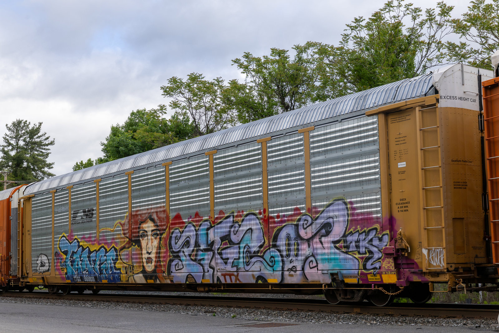 TTGX 988691