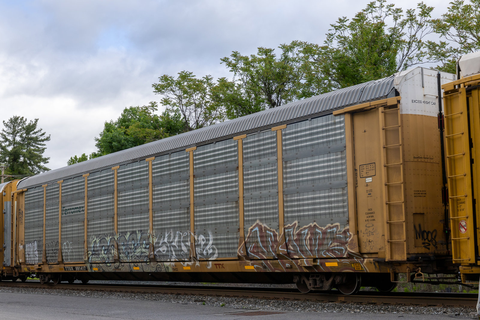 TTGX 991417
