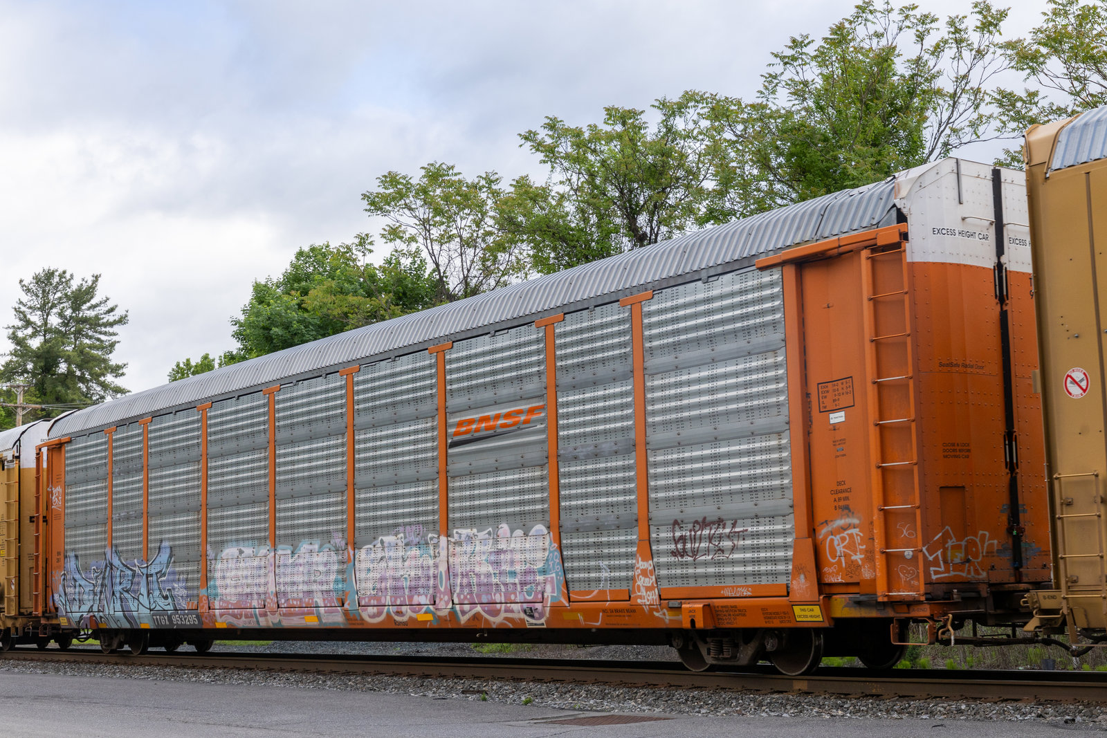 TTGX 953295