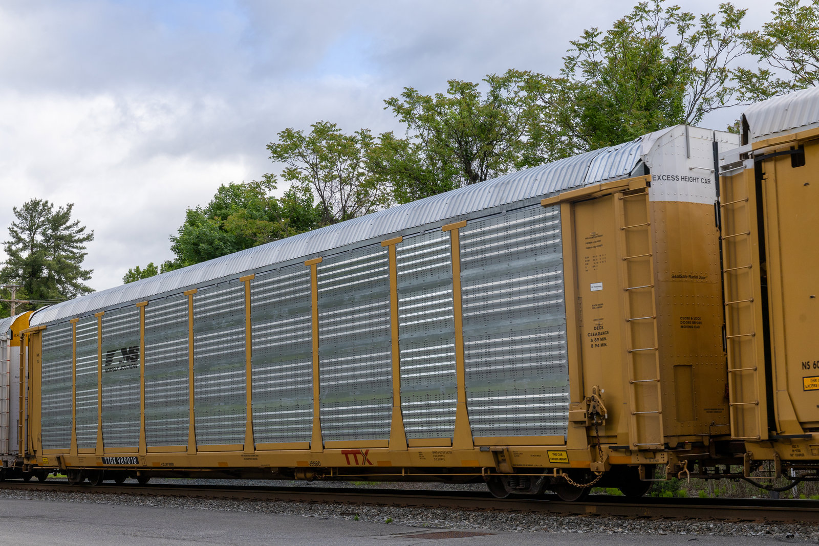 TTGX 989018