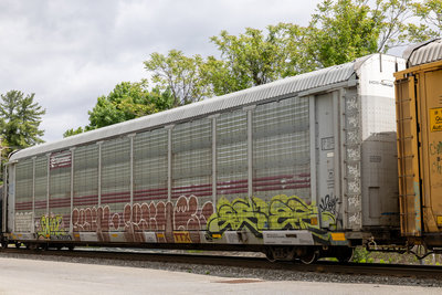 TTGX 705550