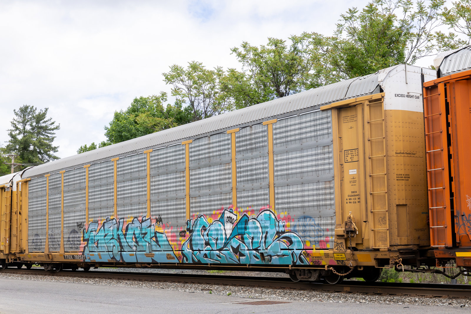 TTGX 702527