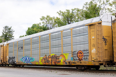 TTGX 711429
