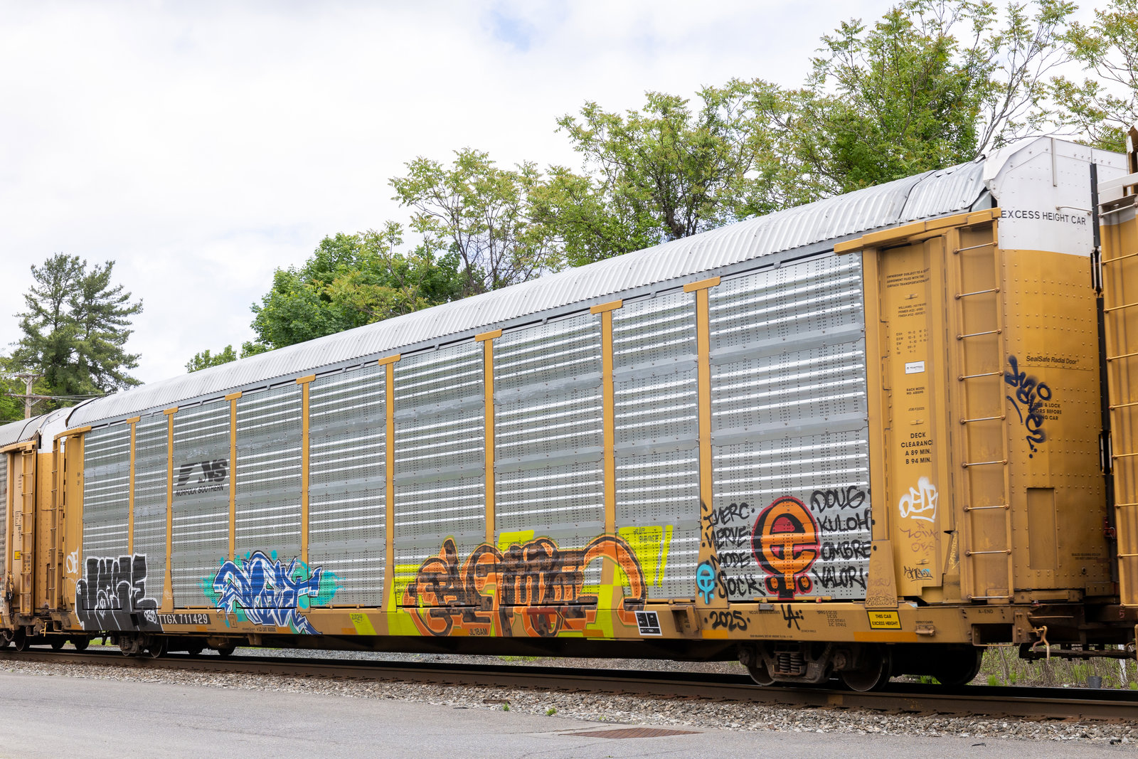 TTGX 711429