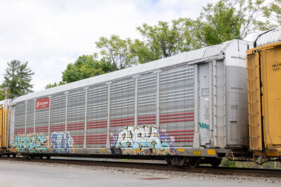 TTGX 706184