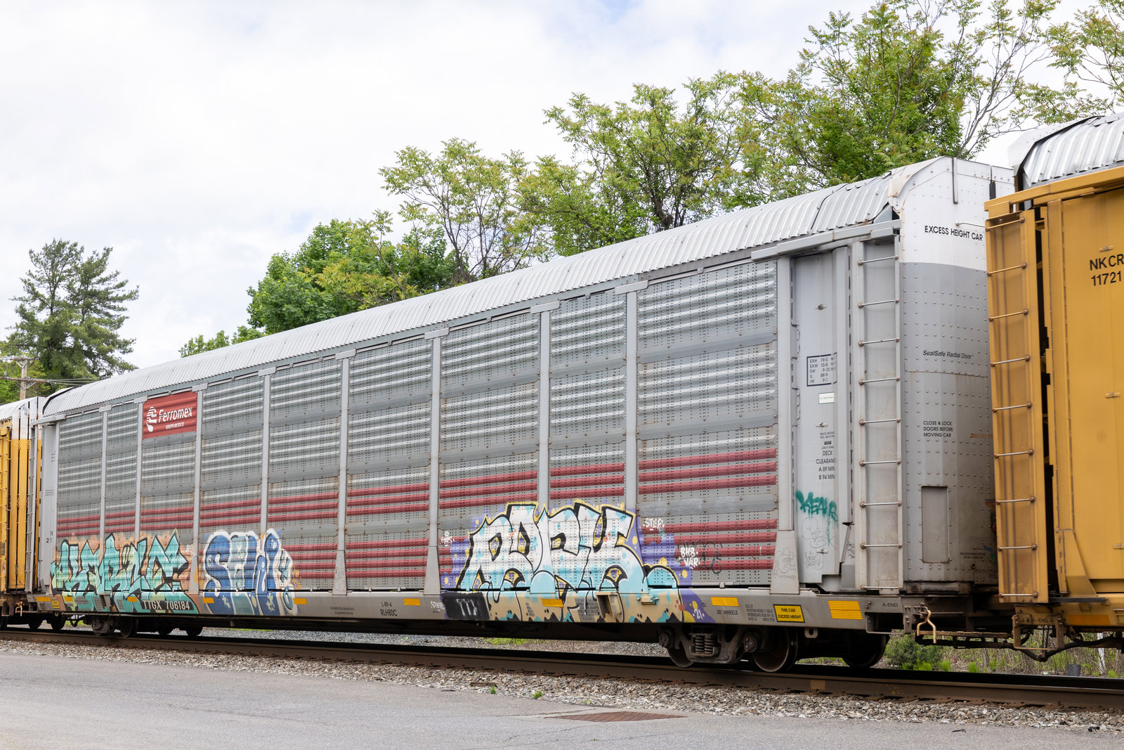 TTGX 706184