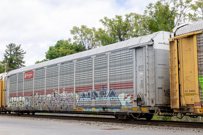 TTGX 706531